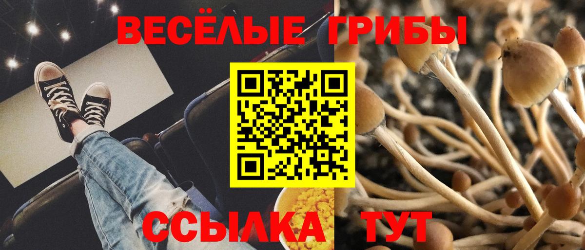 Псилоцибиновые грибы ЛСД  Вход с VPN  Верхняя Салда 