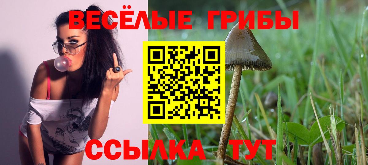Псилоцибиновые грибы мухоморы Верхняя Салда